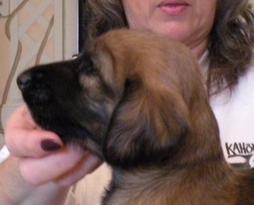 Second Boy H4wksa.jpg - 581 K